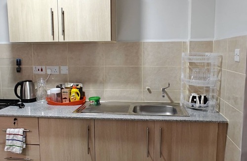 Nakuru Apartment | Perfect Palm Condos-King Sapphire
