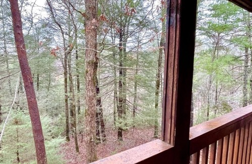 Tellico Plains Cabin | Perfectly private! Hot tub, king sized bed, grill, washer/dryer, and motorcycle friendly! Studio Cabin by RedAwning