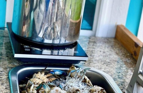 Dickinson House | Pet-friendly accommodations near water and restaurants.