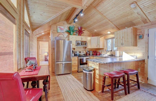 Bailey Cabin | Pet-Friendly Cabin Near Denver & Breck Fire Pit Hot Tub