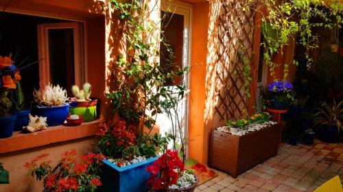 Quartier Administrations Apartment | Petit patio en centre ville