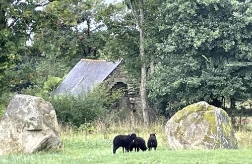 Plouec-du-Trieux Apartment | Petite Maison avec Menhirs et Moutons Ouessant