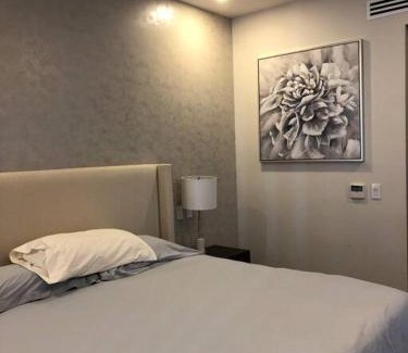 Zona Hotelera Apartment | PH Ocean Front w/Chef and yatch Rental