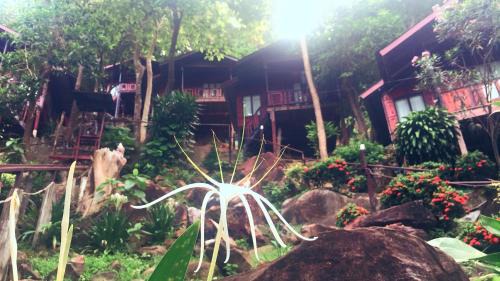 Ko Phi Phi Resort | Phi Phi Green Hill Resort