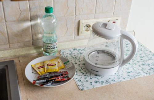 Stare Miasto District Apartment | Piątkowska Comfort Apartment by BookingHost