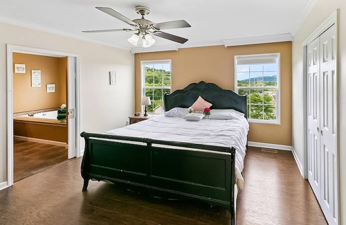 Dandridge House | Picturesque home with mtn views, rooftop deck, & children's items - dog-friendly