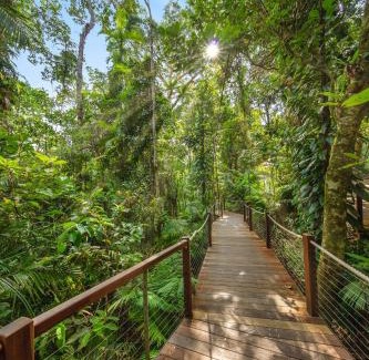 Cairns Central Business District Apartment | Piermonde Apartments Cairns