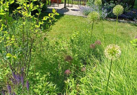 Klaipeda Apartment | Pievų Tako kiemelis