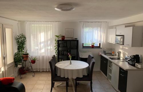 Fertorakos Apartment | Piknik Apartmant