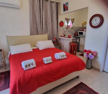 Rosh Pinna Bed & Breakfast | Pinat Hashaked
