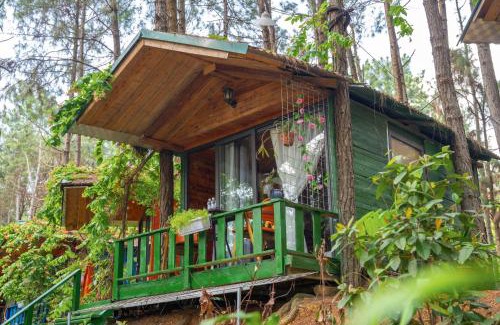 Soc Son Ski Chalet | Pine Hill Villas & Camping