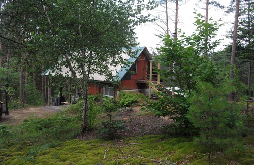 Lowville Cabin | Pine Marten Cabin At The King's Pines