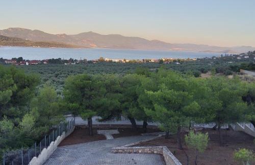 Theologos Villa | Pines sea view villa 170 sqm in Theologos