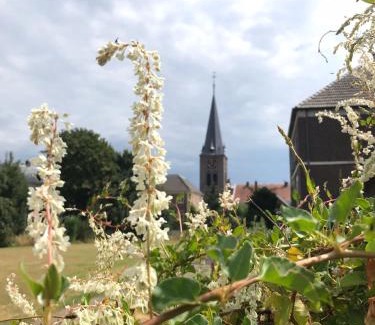 Netterden Other | Pipowagen Jasmijn bij Pipowagen en kampeerhoeve s Gravenhof