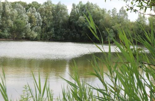 Netterden Other | Pipowagen Jasmijn bij Pipowagen en kampeerhoeve s Gravenhof