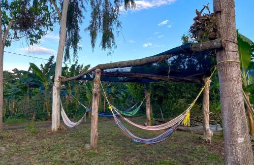 Pitalito Other | Pitalito - Mis Rokas Finca Campestre