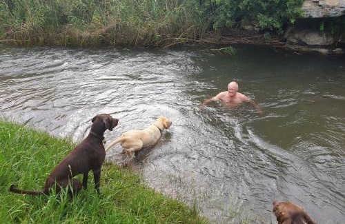 Cathkin Park House | Plain Champagne Guest Farm, Champagne Valley