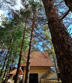 Divcibare House | PLANINSKA VILA SMIGIC