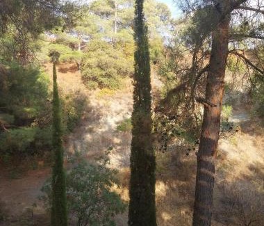 Platres House | Platres Mountain Cottage