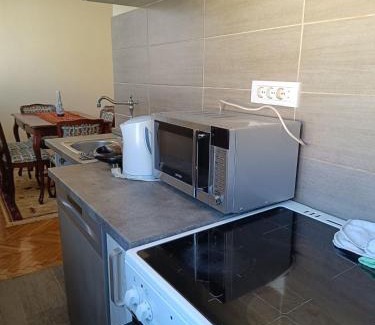 Downtown Apartment | Plaza centar