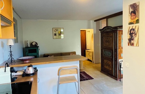 Montparnasse Apartment | Pleasant, quiet, south-facing 40 m2 apartment facing a 2000 m2 garden.