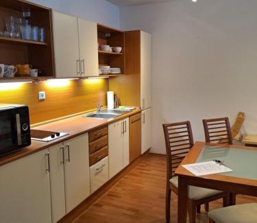 Harrachov Apartment | Plně vybavený apartmán pod Mumlavským vodopádem, ZAHRADA s ohništěm, ideální výchozí bod pro TURISTIKU, kousek do CENTRA, vybavený i pro DĚTI