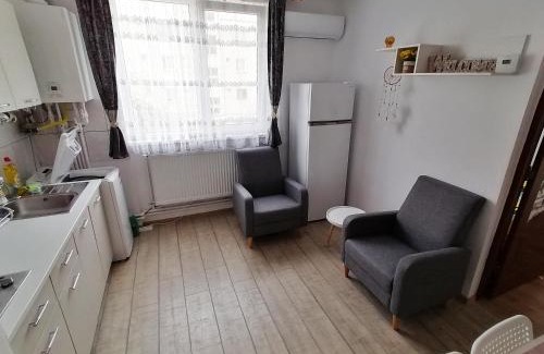 Deva Apartment | Plopilor - Studio 2nd Floor