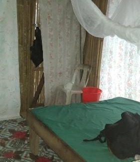 Tol House | PNGFE Nagu Home-stay & Tours