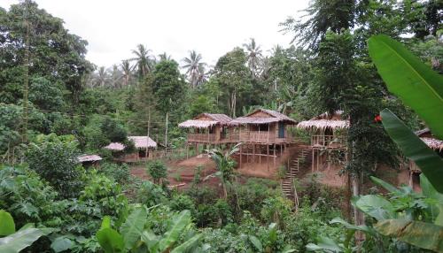 Tol House | PNGFE Nagu Home-stay & Tours
