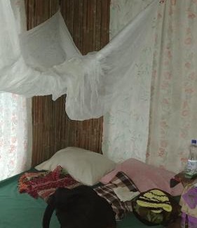 Tol House | PNGFE Nagu Home-stay & Tours