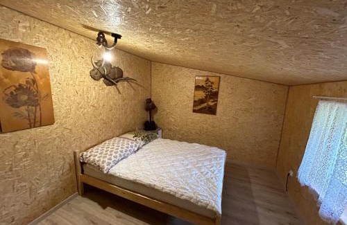 Bialowieza Apartment | Pod Dębem