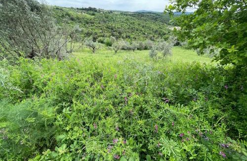 Monterotondo Marittimo Apartment | Podere Buriano, Villa with Swimmingpool