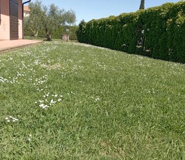 Campiglia Marittima Apartment | Podere Casalpiano Alloggio Estivo VENTURINA TERME BARATTI POPULONIA Bella Tuscany