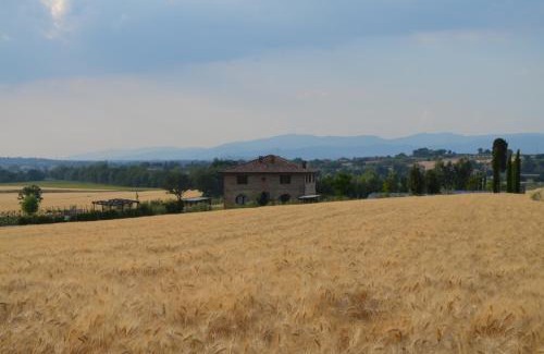 Panicale Villa | Podere Molinaccio