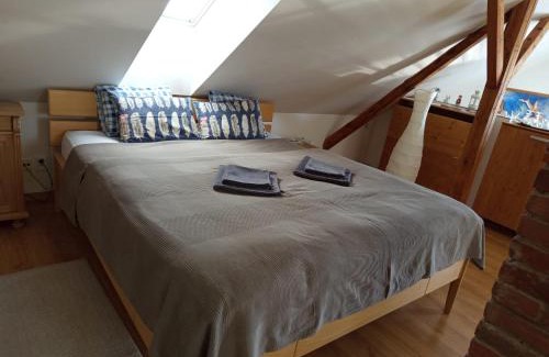 Svinarov House | Podkroví s koupelnou