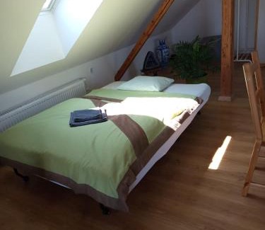 Svinarov House | Podkroví s koupelnou