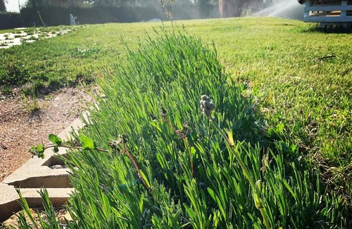 Civitanova Alta House | Poggio Imperiale Marche - Civitanova Marche