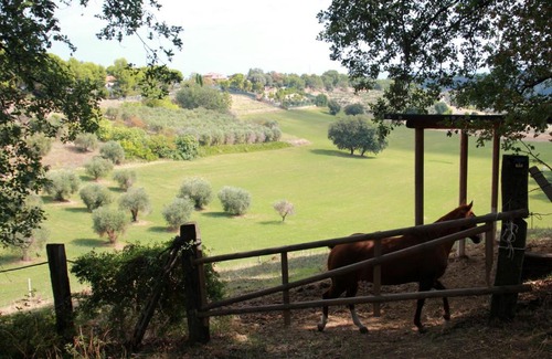 Civitanova Alta House | Poggio Imperiale Marche - Civitanova Marche