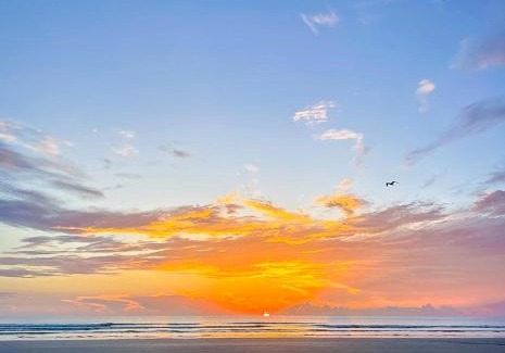 Point East House | Point East 320