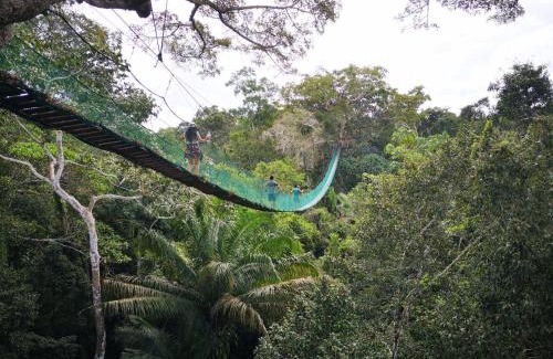 Puerto Maldonado Cabin | Pokakempi Amazon Lodge