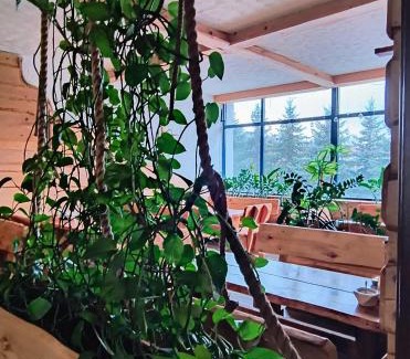 Sanok Bed & Breakfast | Pokoje Dom Turysty Sanok 24h