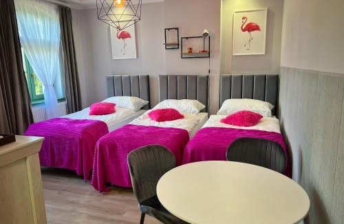 Boguszow-Gorce Apartment | Pokoje Pod Mniszkiem