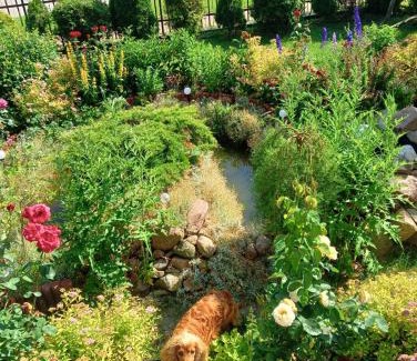 Solec-Zdroj House | Pokoje u Eli