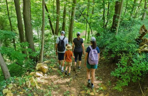 Hanover House | Pole Barn - Rustic 1BR Family Retreat with Open Views