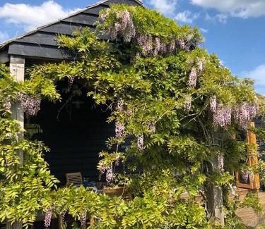 Brackley Apartment | Pool House, farm stay