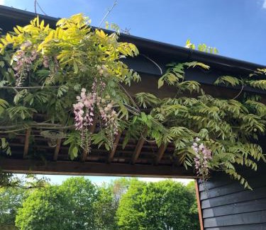 Brackley Apartment | Pool House, farm stay