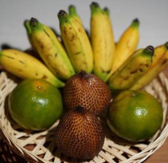 Nyambu Bed & Breakfast | Poolside Villa With Monkey View in Kaba-Kaba