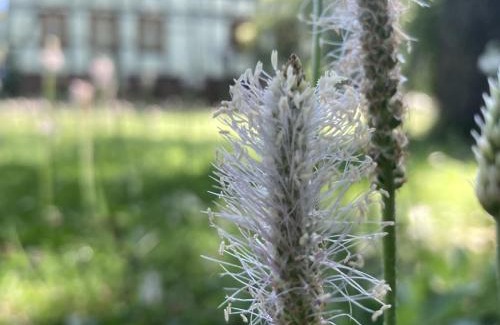 Hofgeismar Apartment | Poppenhäuser Mühle