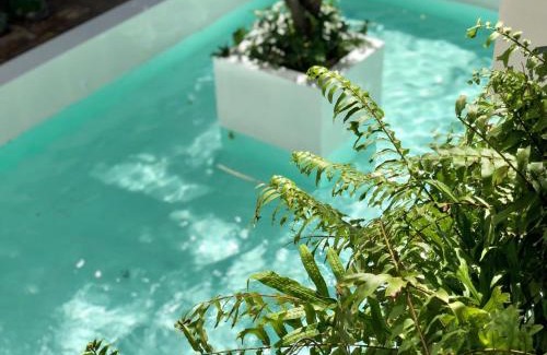 Wua Lai Hotel | POR Daowadung