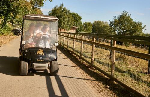 Hythe Hotel | Port Lympne Mansion Hotel